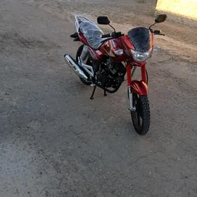 Fekon FK150-8G 2025
