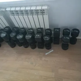 Gantel, ştanga, turnik...