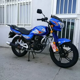 Fekon FK150-8G 2013
