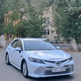 Toyota Camry 2019