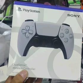 PS5 Joystik