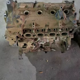 VERSA gujuk wersa