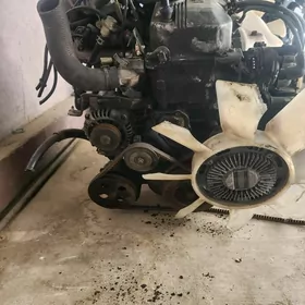 mator ford reynjer