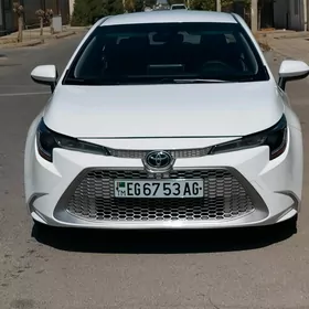 Toyota Corolla 2021