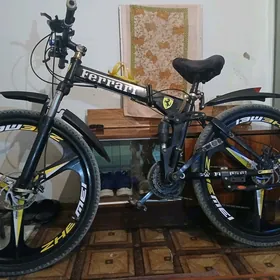 Feerrari tigir