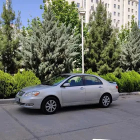 Woditel is gózleyan