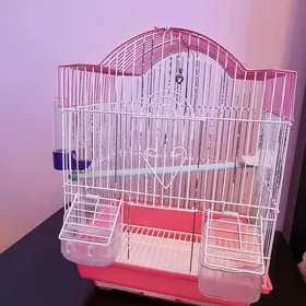 Клетка