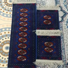 Gokje el haly