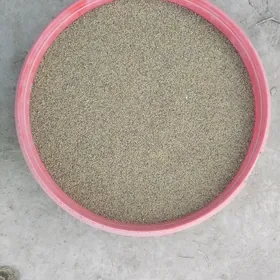 yorunja tohum