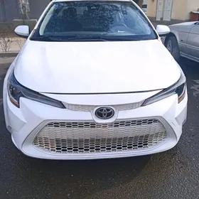 Toyota Corolla 2020