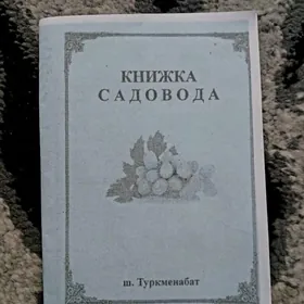 аэропорт дача