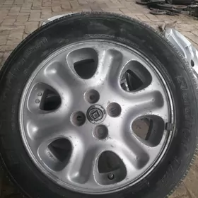 15 dyga