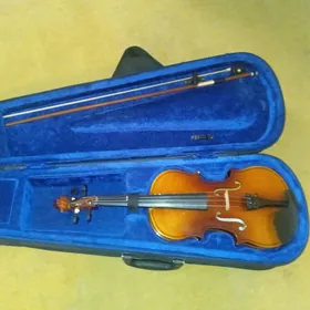 Skripka  Violin