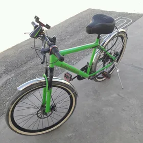 Turkmenistan tigir