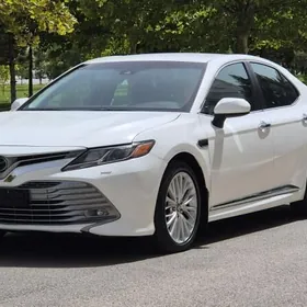 Toyota Camry 2020