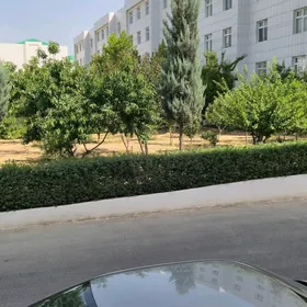 Gurtly 1etaz