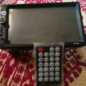 telewizir magtafonlar