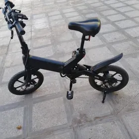 tokly tigir