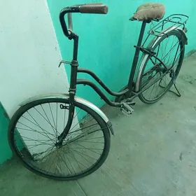 tigyr