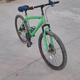 Turkmenistan tigir