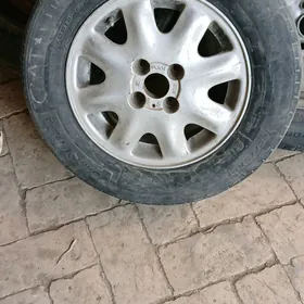 14 dysga