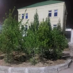 ÇOGANLY ARKAÇ KOTTEJ