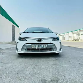 Toyota Corolla 2022