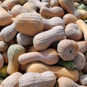 kadi