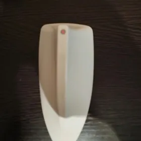 Toyota krysada oturyan akula