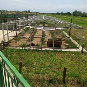 teplitsa, towuk ketek