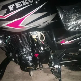 Fekon FK200-14G 2025