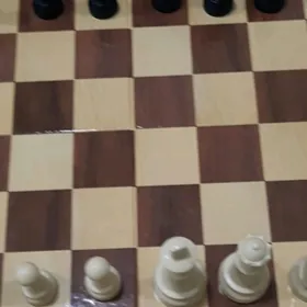 Шахматы