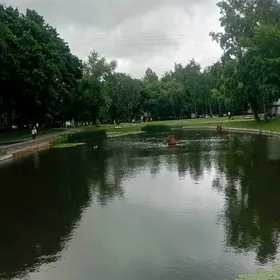 МИР 2 2 ЭТАЖ 3 КОМ