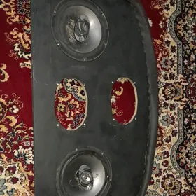 Pioneer kalonka