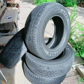 Dunlop колеса