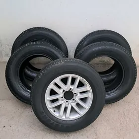 Pakriska diska zapaska R17