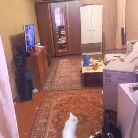 11мкр