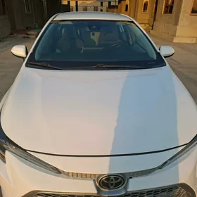 Toyota Corolla 2020