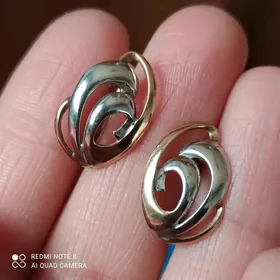 серебро-,серебро