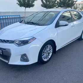Toyota Corolla 2016