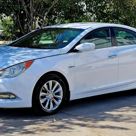 Hyundai Sonata 2010