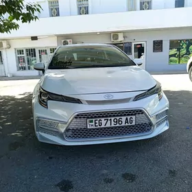 Toyota Corolla 2019