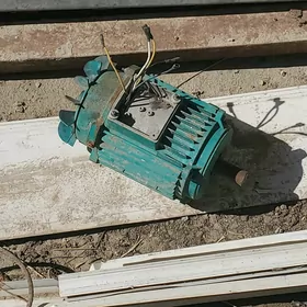 motor elektro dwigatel