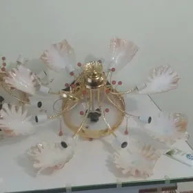 лйустра