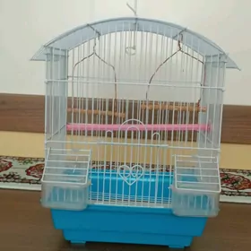 pabugay ketek