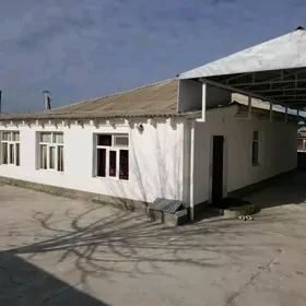 Plon jaý