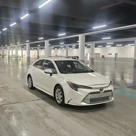 Toyota Corolla 2020