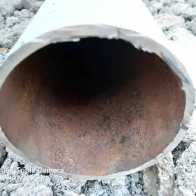 turba 114