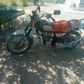 Fekon FK150-8G 2013