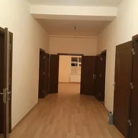 Gokdepe Balşewik